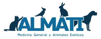 Logo de Almati