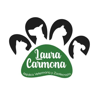 Logo de LauraMvet